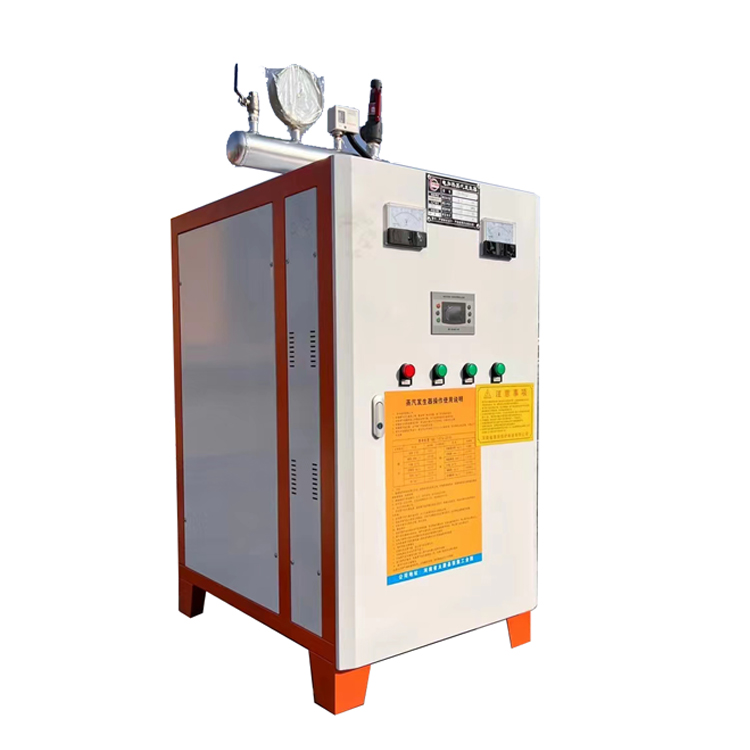 Electric Steam Generator