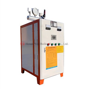 Electric Steam Generator